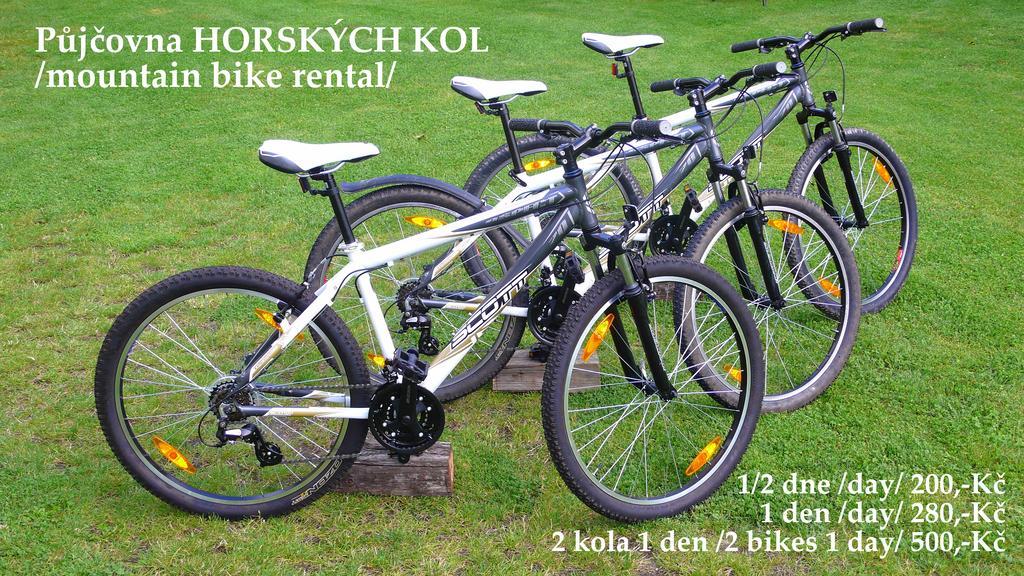 Penzion Fousek Zvíkovské Podhradí 外观 照片